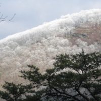 2009-Snow