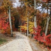 Fall-2007-3-400x284