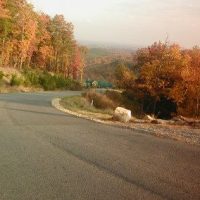 Fall-2007-4-400x284