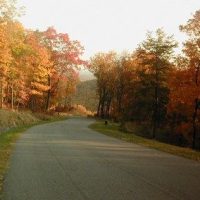 Fall-2007-5-400x284