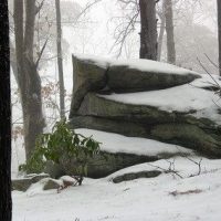 February-1-Snow-6-400x284
