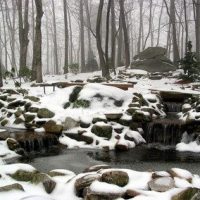 February-1-Snow-7-400x284