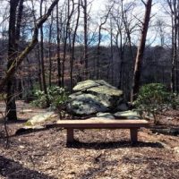 Richard-Harris-Nature-Park-400x284