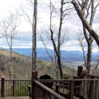 Richard-Harris-Overlook-at-Natue-Park-400x284