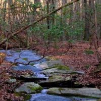 twincreeks-400x284